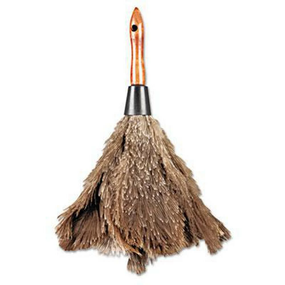 Buy 🔔 12 in. Professional Ostrich Duster 🧨